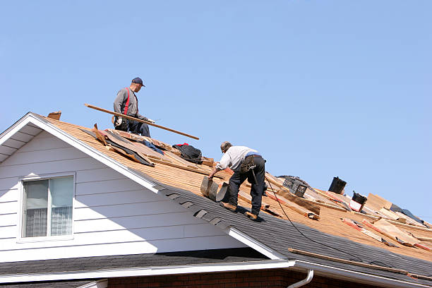 Best Roof Coating and Sealing  in South Bound Brook, NJ